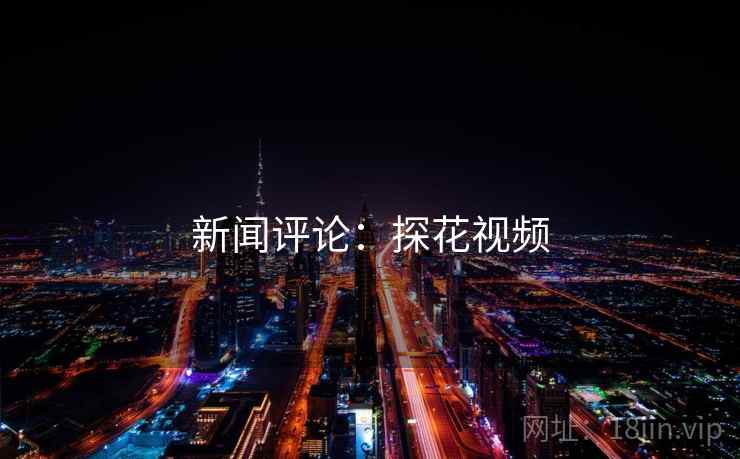 新闻评论：探花视频