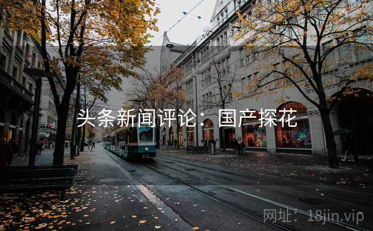 头条新闻评论：国产探花