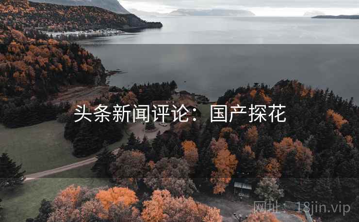 头条新闻评论：国产探花