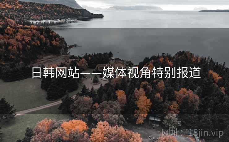 日韩网站——媒体视角特别报道