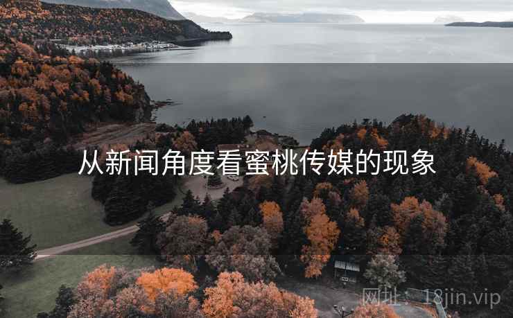从新闻角度看蜜桃传媒的现象