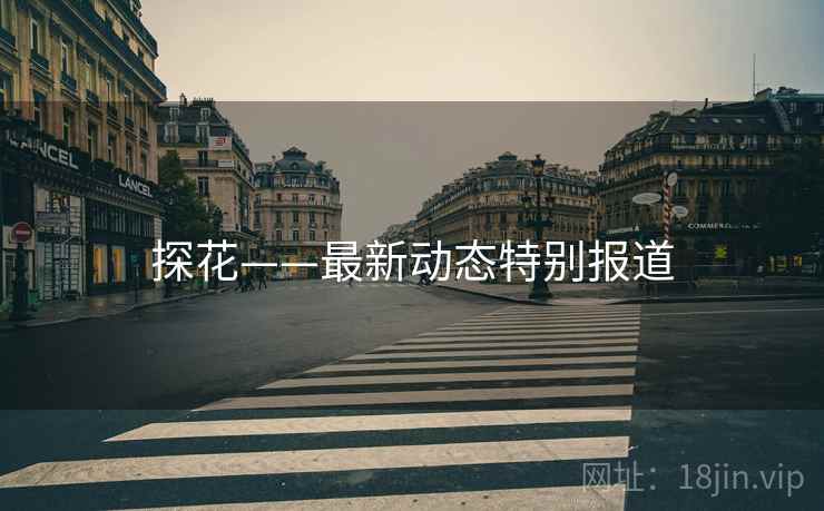 探花——最新动态特别报道