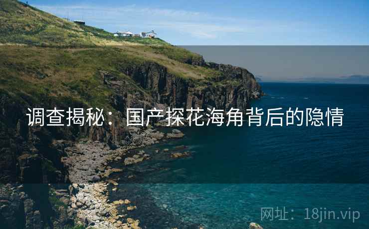 调查揭秘：国产探花海角背后的隐情