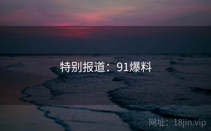 特别报道：91爆料