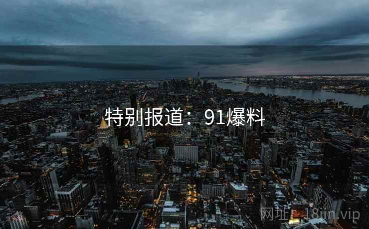 特别报道：91爆料