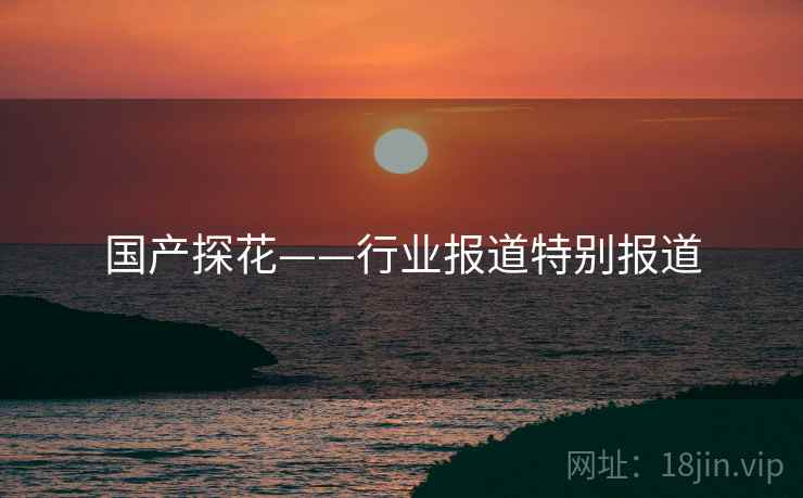 国产探花——行业报道特别报道