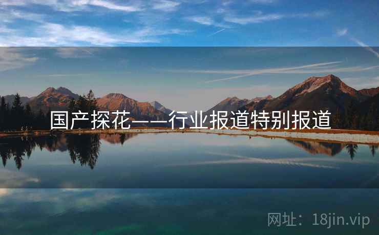 国产探花——行业报道特别报道
