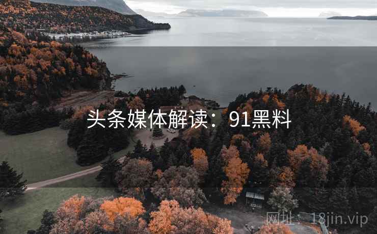 头条媒体解读：91黑料