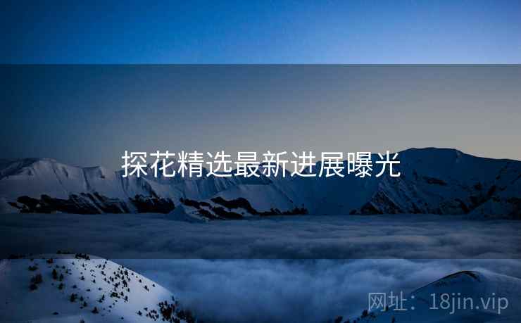 探花精选最新进展曝光