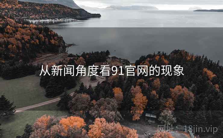 从新闻角度看91官网的现象