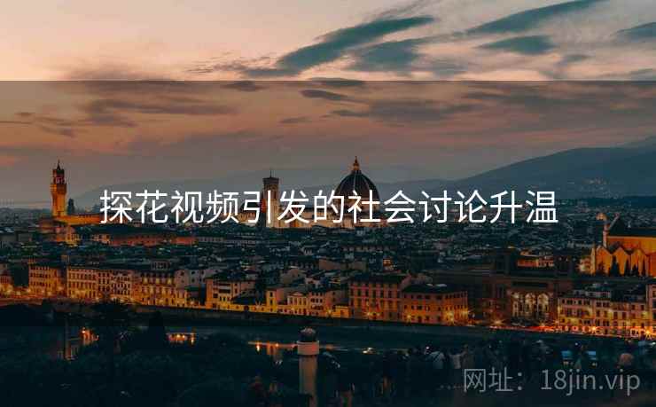 探花视频引发的社会讨论升温