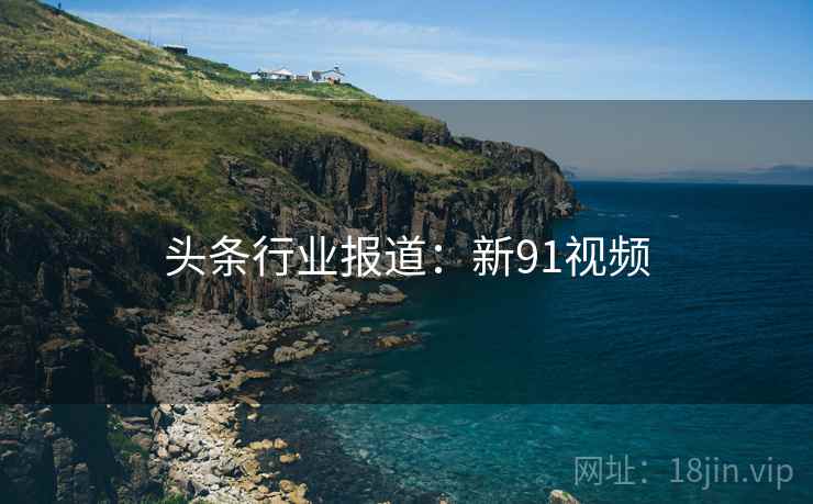 头条行业报道：新91视频