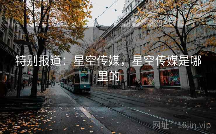 特别报道：星空传媒，星空传媒是哪里的