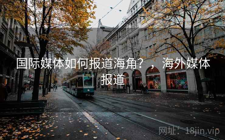 国际媒体如何报道海角？，海外媒体报道