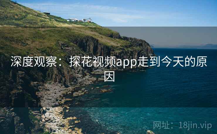 深度观察:探花视频app走到今天的原因 深度观察:探花视频app走到今天的原因