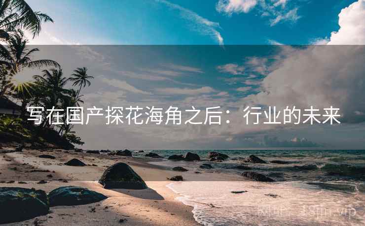 写在国产探花海角之后:行业的未来 写在国产探花海角之后:行业的未来