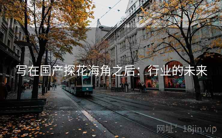 写在国产探花海角之后:行业的未来 写在国产探花海角之后:行业的未来