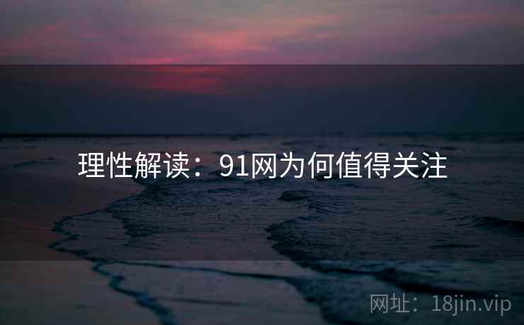理性解读:91网为何值得关注 理性解读:91网为何值得关注