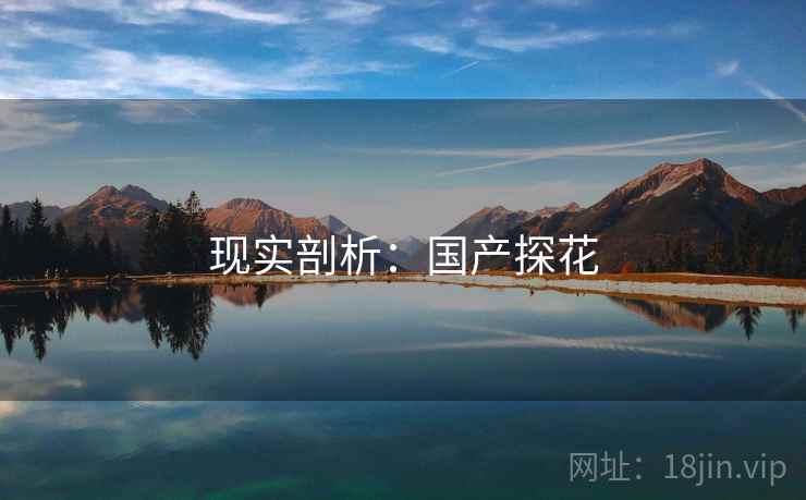 现实剖析:国产探花 现实剖析:国产探花
