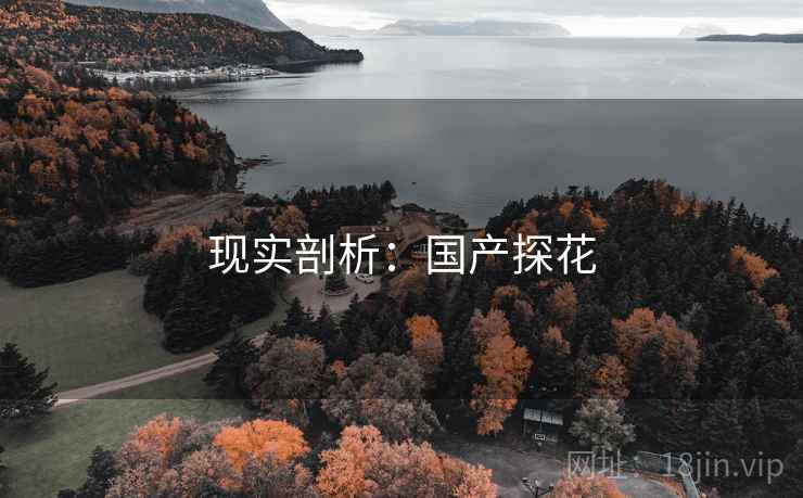 现实剖析:国产探花 现实剖析:国产探花