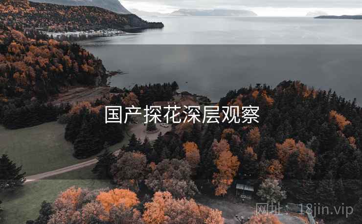 国产探花深层观察 国产探花深层观察