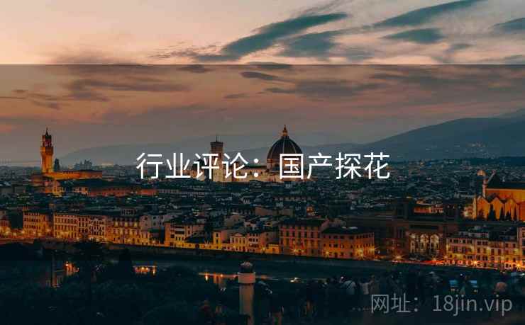 行业评论:国产探花 行业评论:国产探花