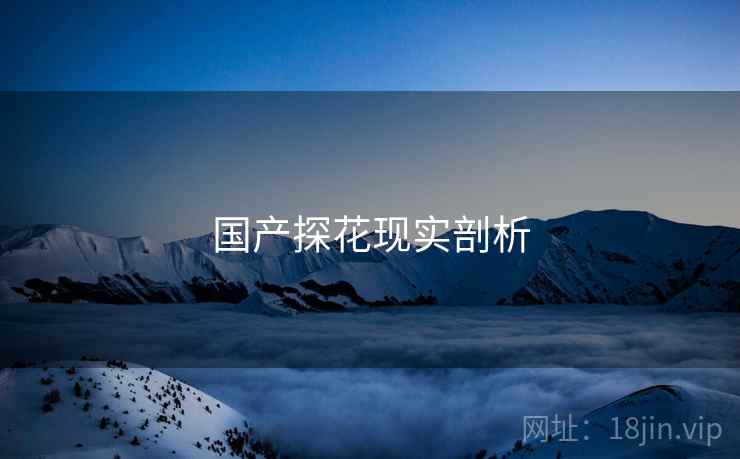 国产探花现实剖析 国产探花现实剖析