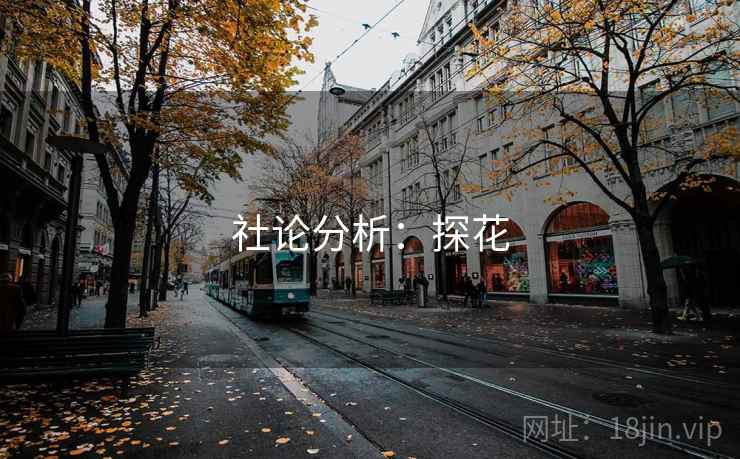 社论分析:探花