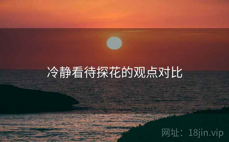 冷静看待探花的观点对比