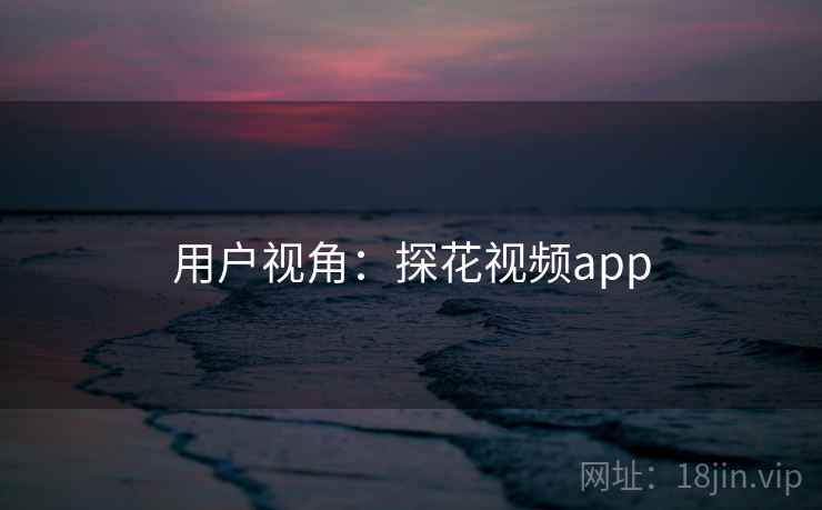 用户视角:探花视频app