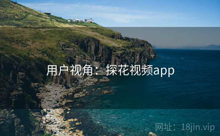 用户视角:探花视频app 用户视角:探花视频app