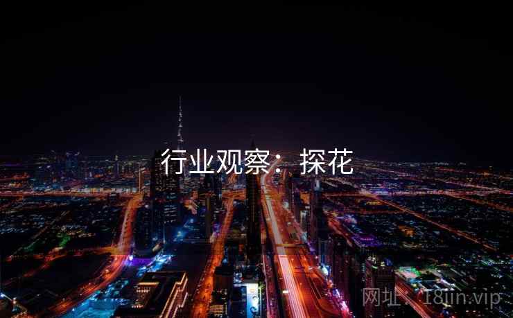行业观察:探花 行业观察:探花