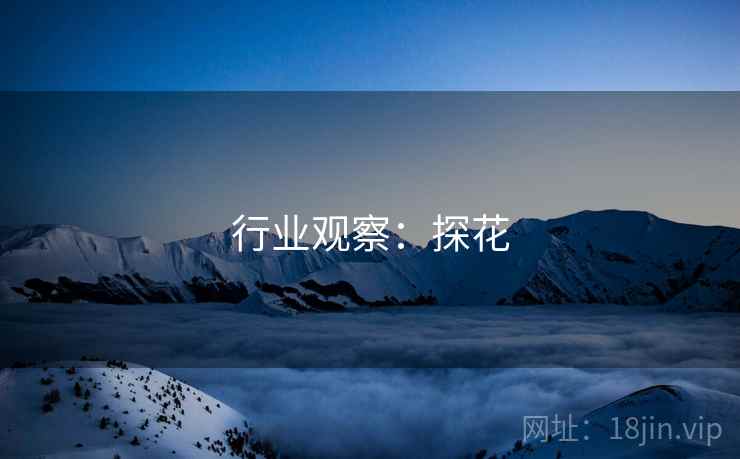 行业观察:探花