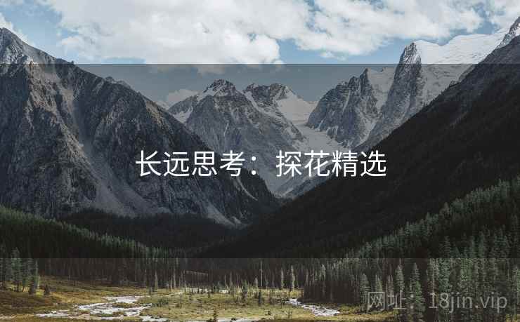 长远思考:探花精选