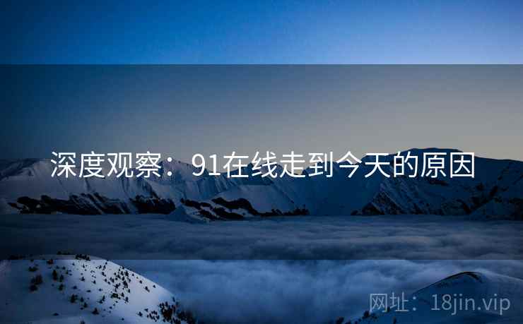 深度观察:91在线走到今天的原因